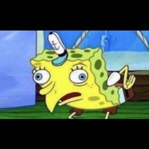 Meet your Posher, Austin